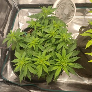 IMG20231203160621.jpg IMG20231203160621.jpg