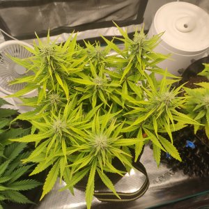 IMG20231203160625.jpg IMG20231203160625.jpg