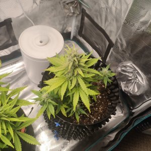 IMG20231203160627.jpg IMG20231203160627.jpg