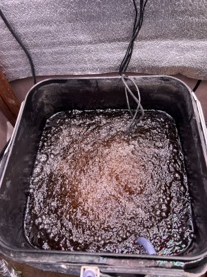 IMG_3769.jpeg IMG_3769.jpeg