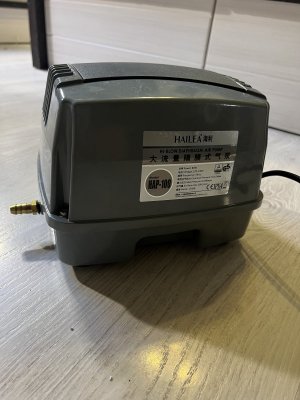 IMG_3820.jpeg IMG_3820.jpeg