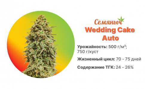 Wedding Cake Auto Wedding Cake Auto
