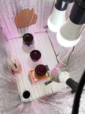 582316ca-a919-4a21-b359-94e294297907.jpg 582316ca-a919-4a21-b359-94e294297907.jpg