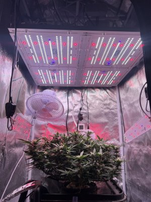 IMG_3886.jpeg IMG_3886.jpeg