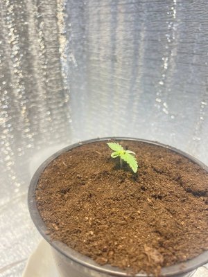 fa472b42-c98e-4fec-9c71-8ff65c806953.jpg fa472b42-c98e-4fec-9c71-8ff65c806953.jpg