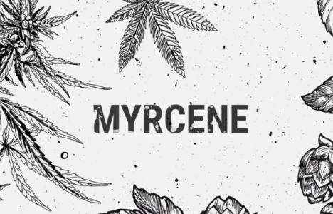 1702492553890.png 1702492553890.png