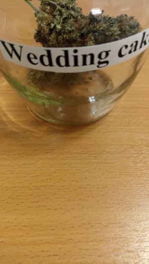 IMG_20231218_215405.jpg IMG_20231218_215405.jpg