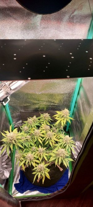 2023.12.19 - 76 день.jpg 2023.12.19 - 76 день.jpg