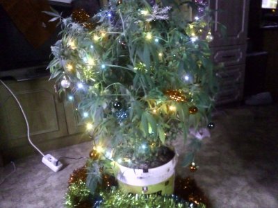 IMG_20231220_115651.jpg IMG_20231220_115651.jpg