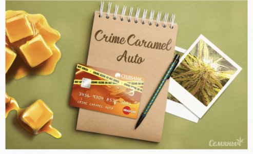 B4F3D7D5-AB56-49B0-A692-77E702193987.jpeg B4F3D7D5-AB56-49B0-A692-77E702193987.jpeg