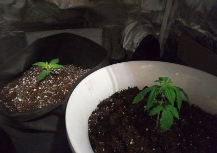 IMG_20231223_073729_503 (1).jpg