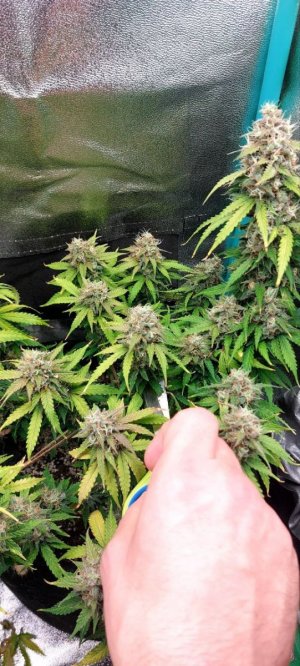 photo_2023-12-23_12-55-09.jpg photo_2023-12-23_12-55-09.jpg