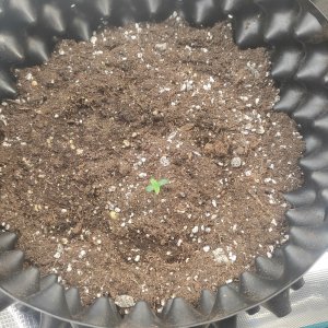 IMG20231224131552.jpg IMG20231224131552.jpg