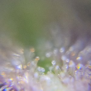 IMG20231224133753.jpg IMG20231224133753.jpg