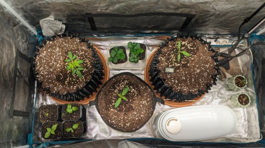 1703451452469.jpeg 1703451452469.jpeg