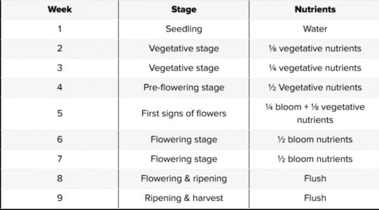 E9F5C20B-611E-48E6-BB88-C5812301F584.jpeg E9F5C20B-611E-48E6-BB88-C5812301F584.jpeg