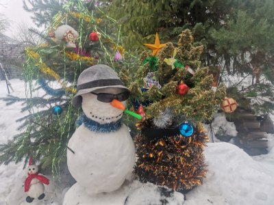 IMG_20231230_131844.jpg IMG_20231230_131844.jpg