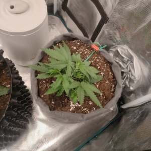 IMG20240114185748.jpg IMG20240114185748.jpg