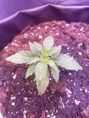 photo1705325252 (4).jpeg