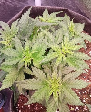 photo1705326711 (1).jpeg