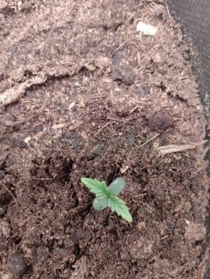 IMG_20240114_092948.jpg IMG_20240114_092948.jpg