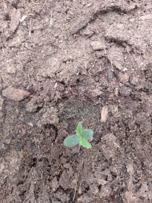 IMG_20240114_092953.jpg IMG_20240114_092953.jpg