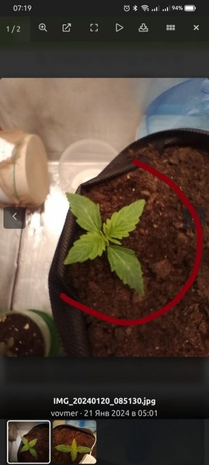 IMG_20240121_071959.jpg IMG_20240121_071959.jpg