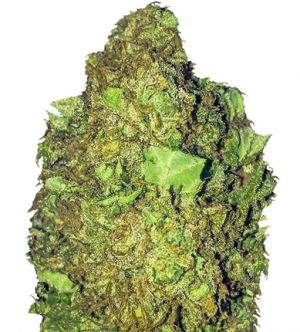 1705950841782.png 1705950841782.png