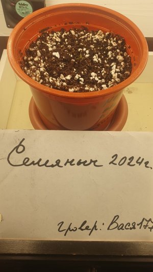 20240129_111819.jpg 20240129_111819.jpg