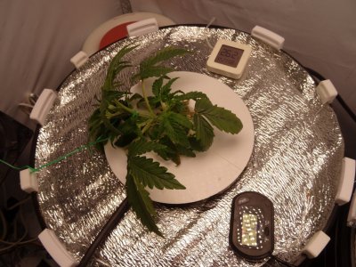 Image00011.jpg Image00011.jpg