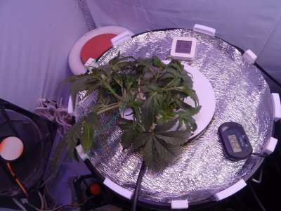 Image00017.jpg Image00017.jpg