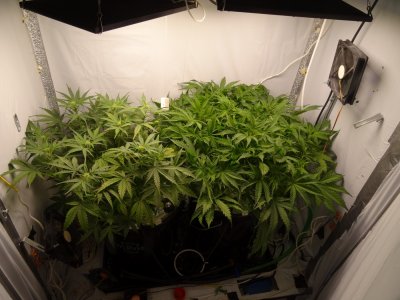 Image00036.jpg Image00036.jpg