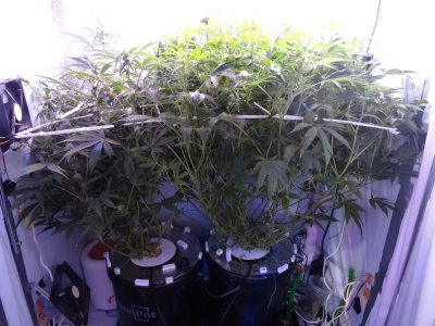 Image00054.jpg Image00054.jpg