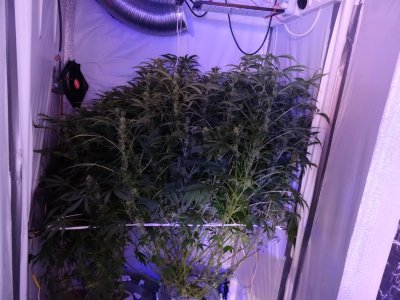 Image00092.jpg Image00092.jpg