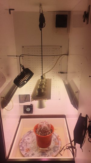 17064807056022648928408180852997.jpg 17064807056022648928408180852997.jpg