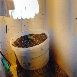 IMG_20240203_101034_367.jpg IMG_20240203_101034_367.jpg