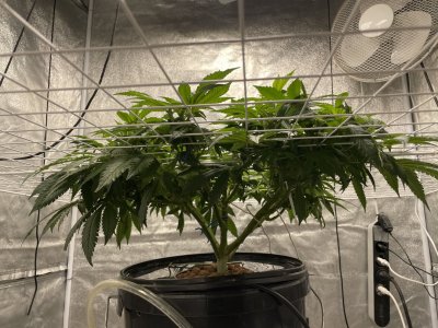 0FF9F583-44EC-4AF9-BBEE-1E5E26C8B6CE.jpeg 0FF9F583-44EC-4AF9-BBEE-1E5E26C8B6CE.jpeg