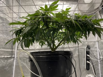 F470E161-2BD8-47B7-9AA0-D128B7F71DF0.jpeg F470E161-2BD8-47B7-9AA0-D128B7F71DF0.jpeg