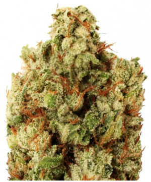 1707483065141.png 1707483065141.png