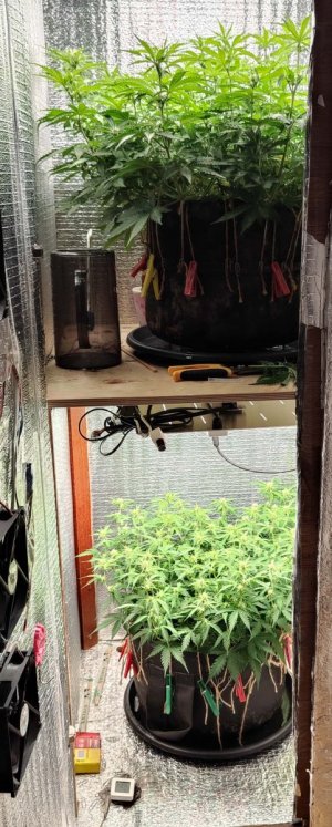 Общий план.jpg