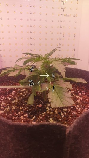 20240213_235022.jpg 20240213_235022.jpg