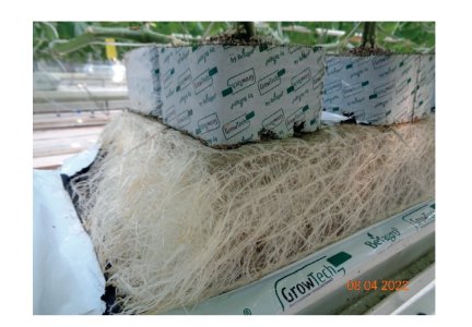 Screenshot_2024-02-15-12-06-17-39_40deb401b9ffe8e1df2f1cc5ba480b12.jpg Screenshot_2024-02-15-12-06-17-39_40deb401b9ffe8e1df2f1cc5ba480b12.jpg