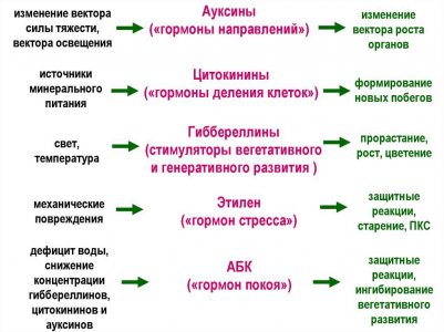 IMG_20240217_150524_192.jpg IMG_20240217_150524_192.jpg