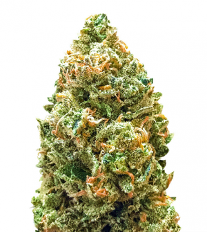 1708341748449.png 1708341748449.png