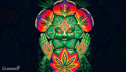 IMG_5174.jpeg IMG_5174.jpeg