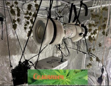 14.10.23 7.jpeg 14.10.23 7.jpeg