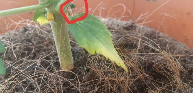 Фото из интернета 2.jpg