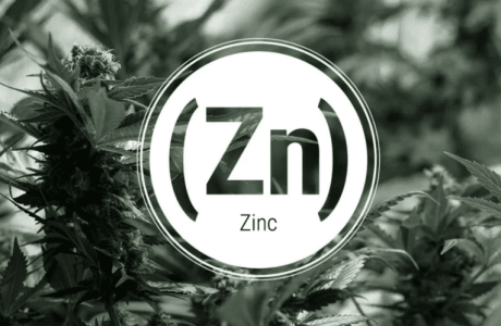 1643894433364.png 1643894433364.png