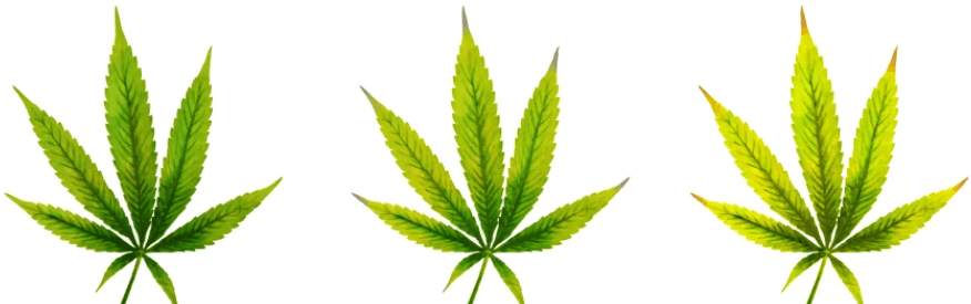 1643894594705.png 1643894594705.png