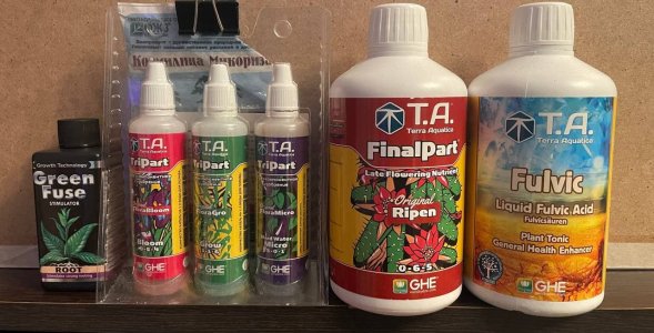 сап.jpg сап.jpg